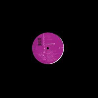 Punisher - Wave Stalker download mp3 flac