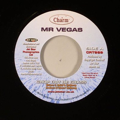 Mr. Vegas - Chop Out De Grass download mp3 flac