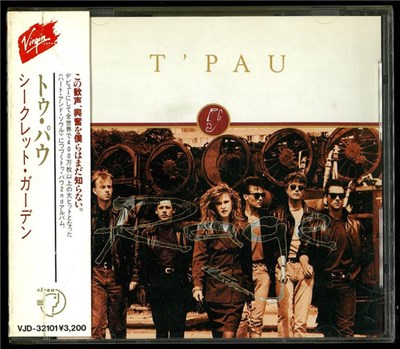 T'Pau - Rage download mp3 flac