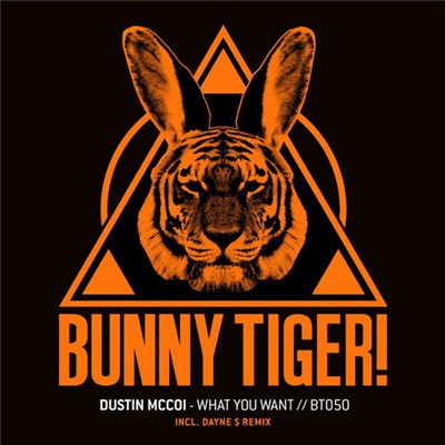 Dustin McCoi - What You Want download mp3 flac