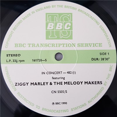 Ziggy Marley And The Melody Makers - In Concert-482 download mp3 flac