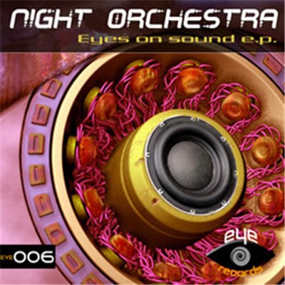 Night Orchestra - Eyes On Sound EP download mp3 flac