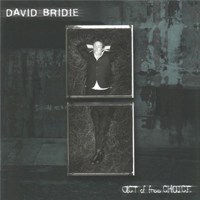 David Bridie - Act Of Free Choice download mp3 flac