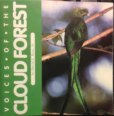 No Artist - Voices Of The Cloud Forest download mp3 flac