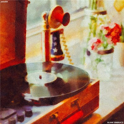 Blank Embrace - pesokk download mp3 flac