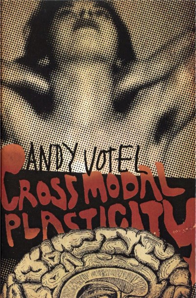 Andy Votel - Cross Modal Plasticity download mp3 flac