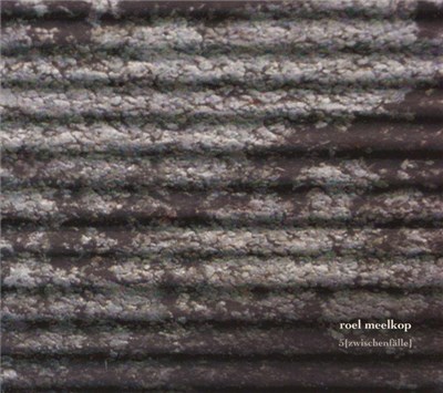 Roel Meelkop - 5 (Zwischenfälle) download mp3 flac