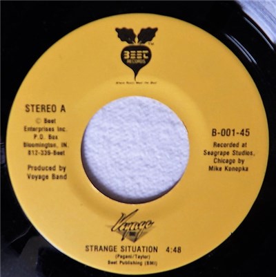 Voyage Band - Strange Situation download mp3 flac