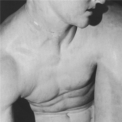Hoek - Hydra download mp3 flac