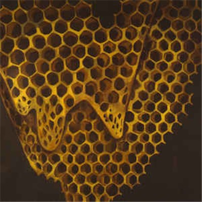 Telefon Tel Aviv - Map Of What Is Effortless download mp3 flac
