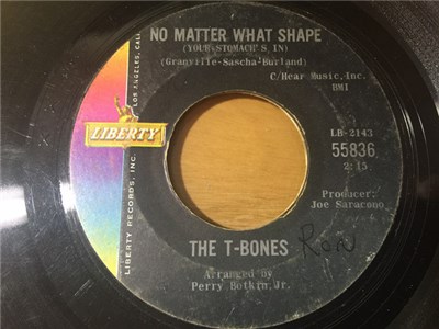 The T-Bones - No Matter What Shape (Your Stomach's In) download mp3 flac