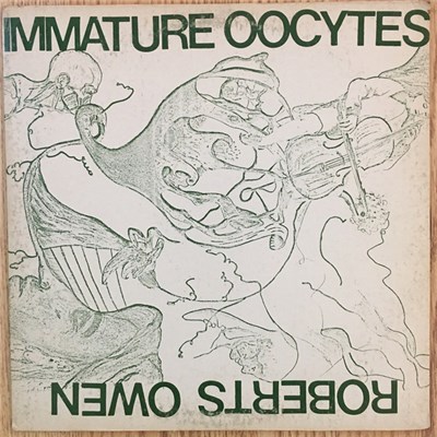 Roberts Owen - Immature Oocytes download mp3 flac