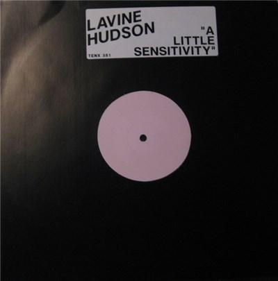 Lavine Hudson - A Little Sensitivity download mp3 flac