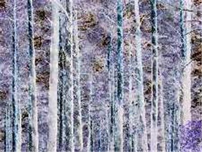 Joseph Gates - Nature Presence download mp3 flac