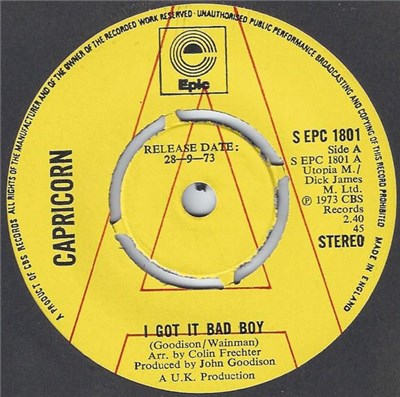 Capricorn - I Got It Bad Boy download mp3 flac