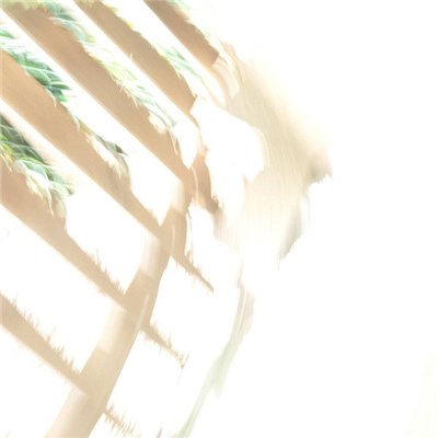 Asukrai - Still Life download mp3 flac
