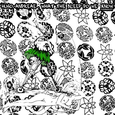 Hugo vs. Andreae - What The Bleep Do We Know? download mp3 flac