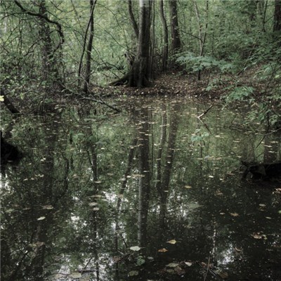 Troum | Closing The Eternity With Ad Lux Tenebrae - Dilo / Осенние Огни, Холодный Тлен download mp3 flac
