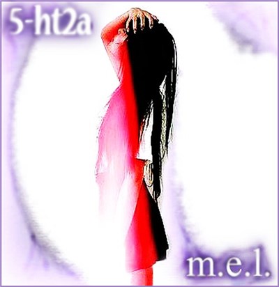 5-ht2a - m.e.l. download mp3 flac
