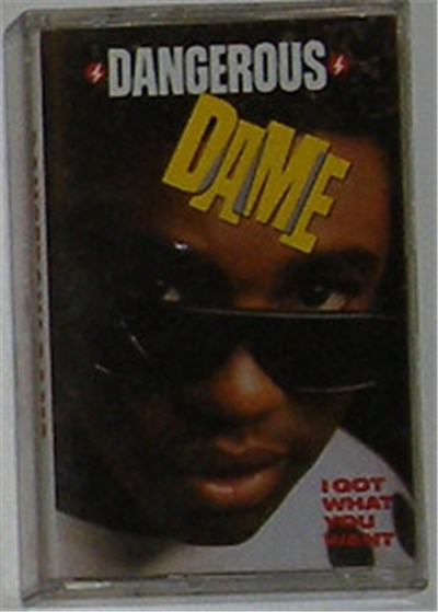 Dangerous Dame - I Got What You Want download mp3 flac