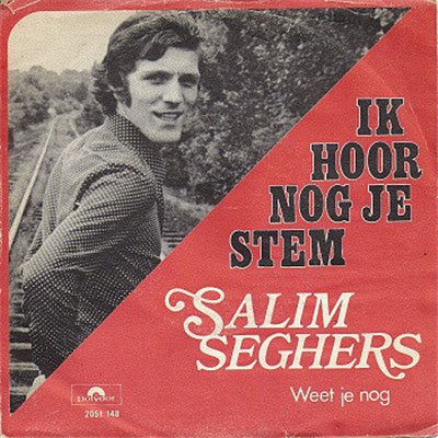 Salim Seghers - Ik Hoor Nog Je Stem download mp3 flac