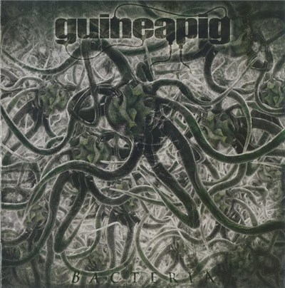 Guineapig - Bacteria download mp3 flac
