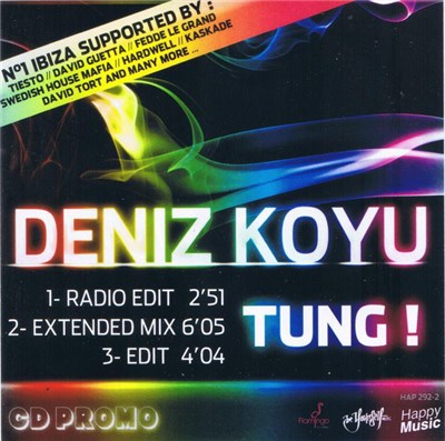 Deniz Koyu - Tung! download mp3 flac