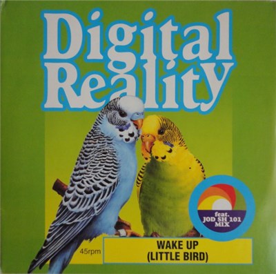 Digital Reality - Wake Up (Little Bird) download mp3 flac