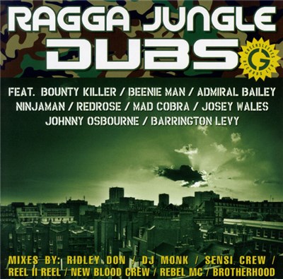 Various - Ragga Jungle Dubs download mp3 flac