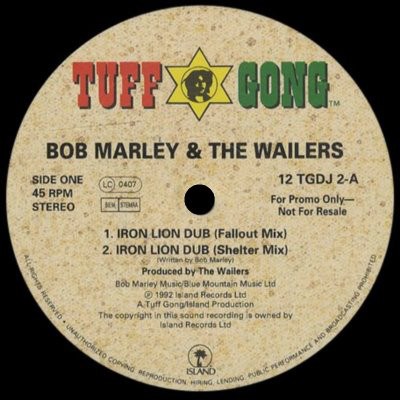 Bob Marley & The Wailers - Iron Lion Dub download mp3 flac