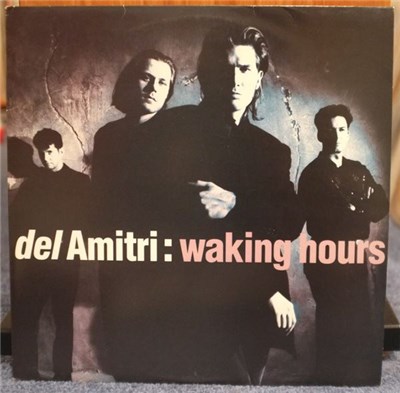 Del Amitri - Waking Hours download mp3 flac