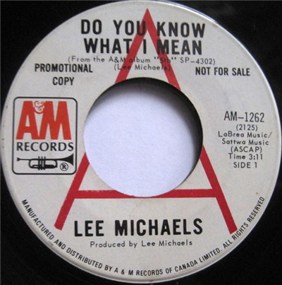 Lee Michaels - Do You Know What I Mean / Keep The Circle Turning download mp3 flac