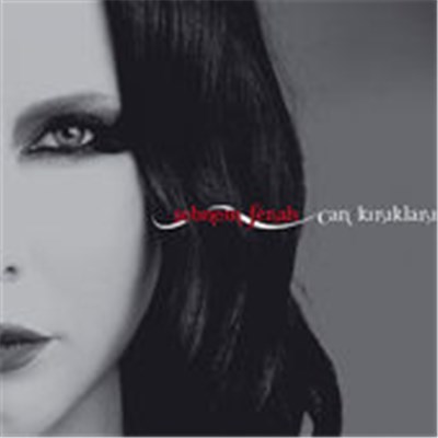 Şebnem Ferah - Can Kırıkları download mp3 flac