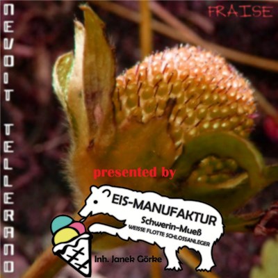 Nevoit Tellerand - Fraise download mp3 flac