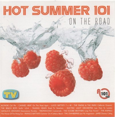 Various - Hot Summer 101 On The Road Vol. 5 download mp3 flac