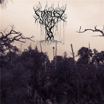 Starless Night - Caressing My Hateful Thoughts download mp3 flac
