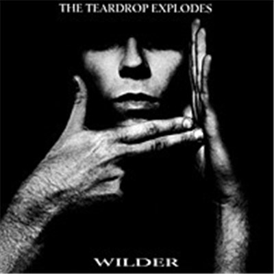 The Teardrop Explodes - Wilder download mp3 flac