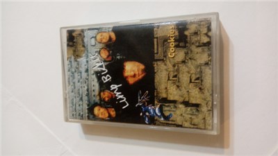 Limp Bizkit - Cookies download mp3 flac