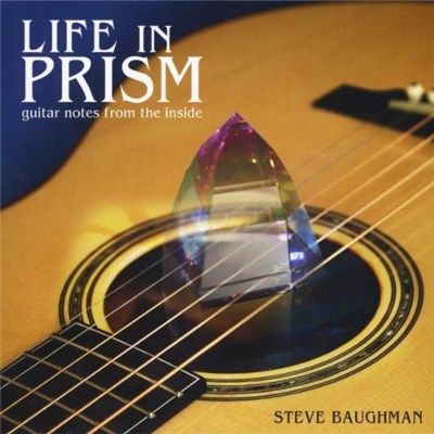 Steve Baughman - Life In Prism download mp3 flac