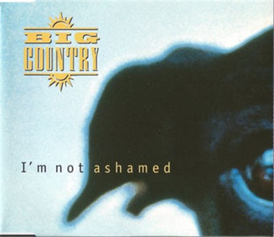 Big Country - I'm Not Ashamed download mp3 flac