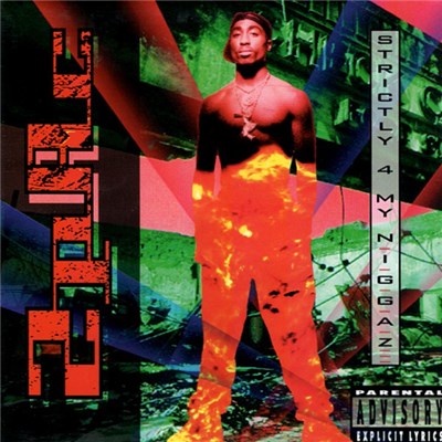 2Pac - Strictly 4 My N.I.G.G.A.Z... download mp3 flac