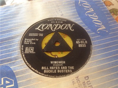 Bill Hayes And The Buckle Busters - Wimoweh download mp3 flac