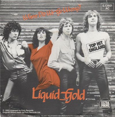 Liquid Gold - Where Did We Go Wrong? download mp3 flac