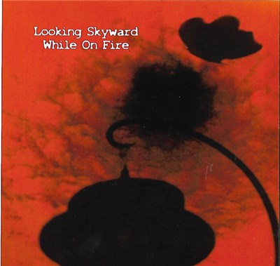 Looking Skyward - While On Fire download mp3 flac