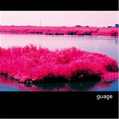 Organ Language - Guage download mp3 flac