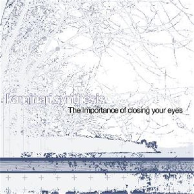 Kaminari Synthesis - The Importance Of Closing Your Eyes download mp3 flac