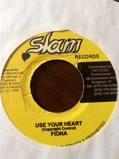 Fiona - Use Your Heart download mp3 flac