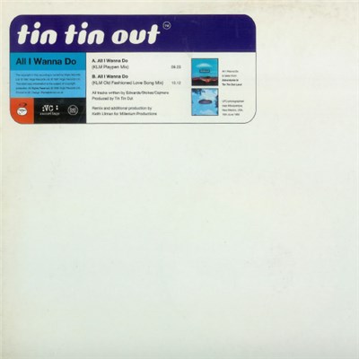 Tin Tin Out - All I Wanna Do download mp3 flac