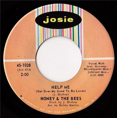 Honey And The Bees - Help Me (Get Over My Used To Be Lover) / We Got To Stay Together download mp3 flac