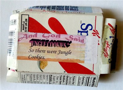 Eugene Chadbourne - Jungle Cookies download mp3 flac
